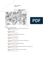 Anatomy Chapter 4