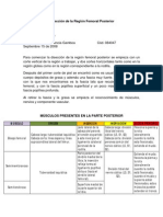 Diseccion Region Femoral Posterior-Christian Balbino