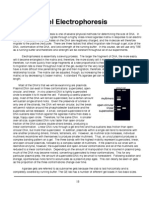Agarose Gel Electrophoresis