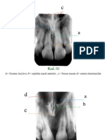 4931 - Caderno de Exercícios de Anatomia Radiográfica Gabarito