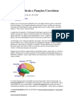 Áreas Cerebrais e Funções Correlatas