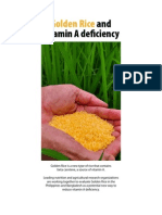 Golden Rice Project Brief 2012