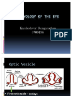 Embryology