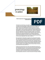 C C C C: Agroecology in Action Isidoro Revised 07-30-00