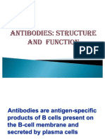 Antibody & Function