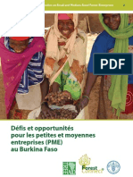 Defis Et Opportunités PME Burkinabè