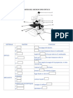 Partes Del Microscopio Óptico