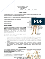 Ficha de Informativa Sistema Locomotor