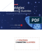 Guide Strategies Emarketing Web