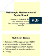 Patofisiologi Septic-Shock