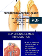 Suprarenal (Adrenal) Gland: Dr. R. Santhakumar