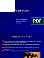 Fossilfuels 100519135110 Phpapp02