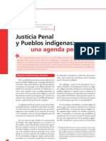 Ramírez - 2007 - Justicia Penal y Pueblos Indígenas Una Agenda Pen