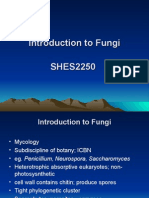 Introduction To Fungi