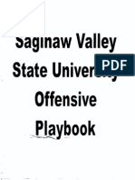 Saginawvalleyuniversitystateplaybook 1