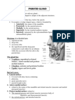 Parotid Gland