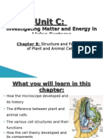 Unit C-Chapter 8 Powerpoint