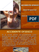 Accidente Ofidico