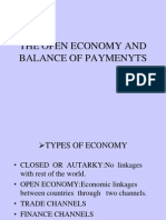 The Open Economy and Balance of Paymenyts