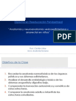 Anatomia Pelviperineal