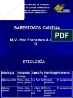 Babesiosis Canina