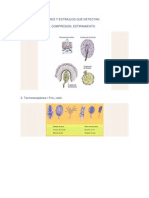 Tipos de Receptores y Estímulos Que Detectan