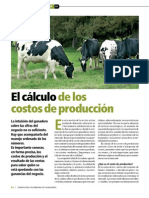 Calcular Costos Produccion de Carne