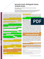 Elevated Gene Expression Levels Distinguish Human Distinguish Human From Non HumansCLAVEEEEEEEEE