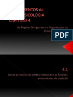 Fundamentos Da Neuropsicologia