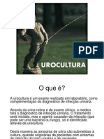 Urocultura Trabalho