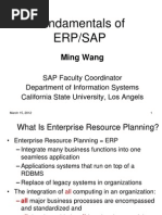 Fundamentals of Erp/Sap: Ming Wang