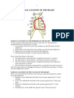 Surface Anatomy of The Heart 3