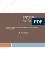 Slide Sistema Nervoso