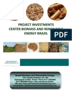 News Brazil Biomass Project Investments