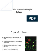 Bases Moleculares Da Biologia Celular