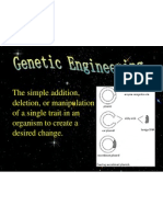 The Simple Addition, Deletion, or Manipulation of A Single Trait in An Organism To Create A Desired Change