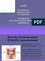 Procedimientos Quirúrgicos en Colon