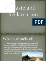 Wasteland