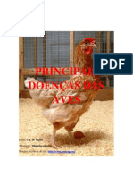 Principais Doenças Das Aves