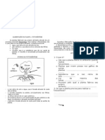 Fotossíntese - Ciencias