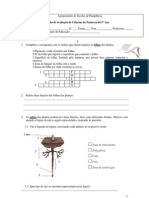 Ficha de Avaliação de Ciências Da Natureza 5º Ano - Plantas