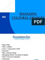 Managing Cultural Changes