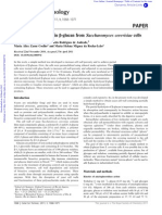 A New Method To Obtain B-Glucan From Saccharomyces Cerevisiae Cells