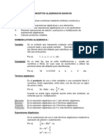 Conceptos Algebraicos Basicos