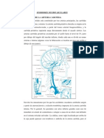 Sindromes Neurovasculares Final