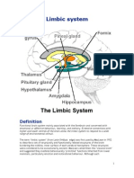 Limbic System