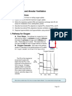 Metabolic Rate and Alveolar Ventilation