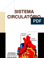 Aula 04 Distúrbios Da Circulação