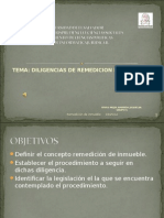 Diligencias de Remedicin de Inmueble