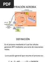 Respiración Aerobia